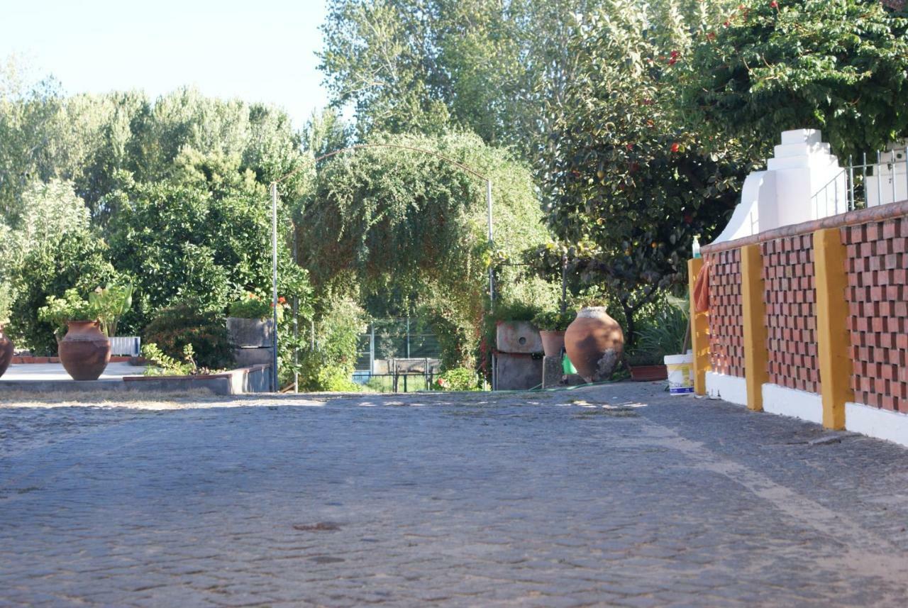 Farm stay Quartos Do Lagar Golega